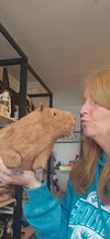 Clyde Capybara Jellycat