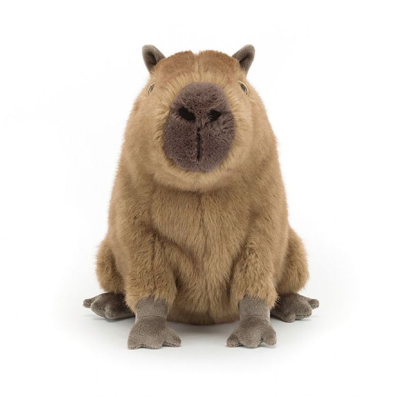 Clyde Capybara Jellycat
