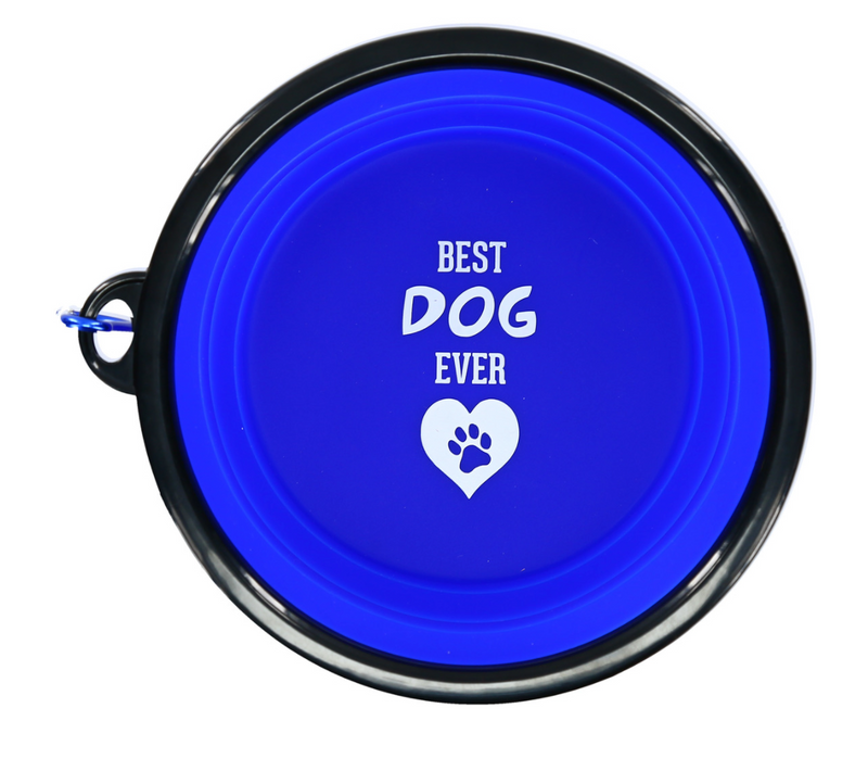 7" Collapsible Silicone Pet Bowl