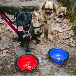 7" Collapsible Silicone Pet Bowl RED