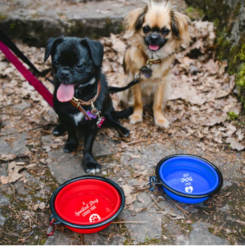7" Collapsible Silicone Pet Bowl RED