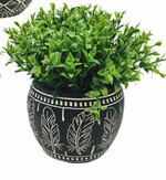 BW Graphic Planter with Plant