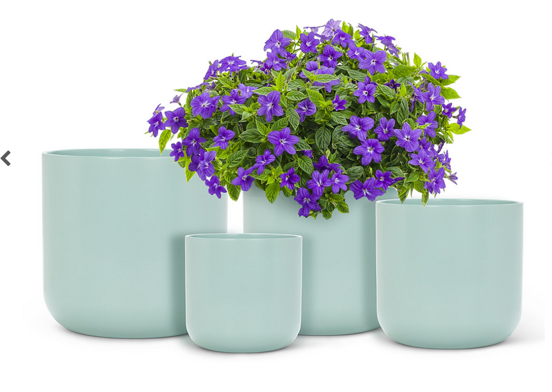 Classic Planter MED Mint