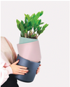 Classic Planter MED Mint