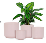 Classic Planter XL Pink
